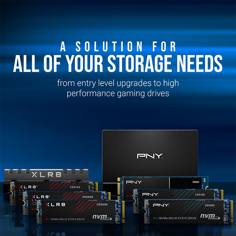 PNY CS900 500GB 550/500MB/s 2,5″ SATA3 SSD Disk (SSD7CS900-500-RB)