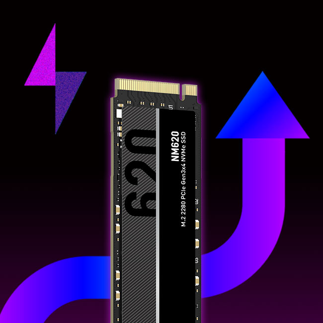 Lexar NM620X LNM620X256G-RNNNG 256GB 3500/ 1300Mb/s M.2 NVMe SSD Disk