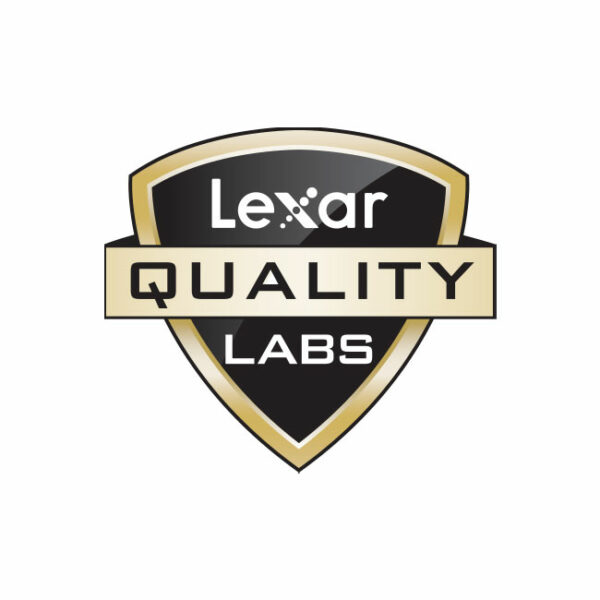 Lexar NM620X LNM620X256G-RNNNG 256GB 3500/ 1300Mb/s M.2 NVMe SSD Disk
