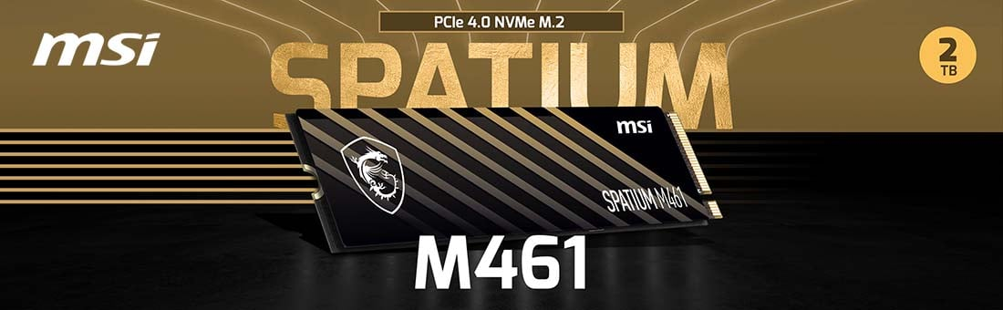 MSI Spatium M461 2TB PCIe 4.0 NVMe M.2 SSD Disk