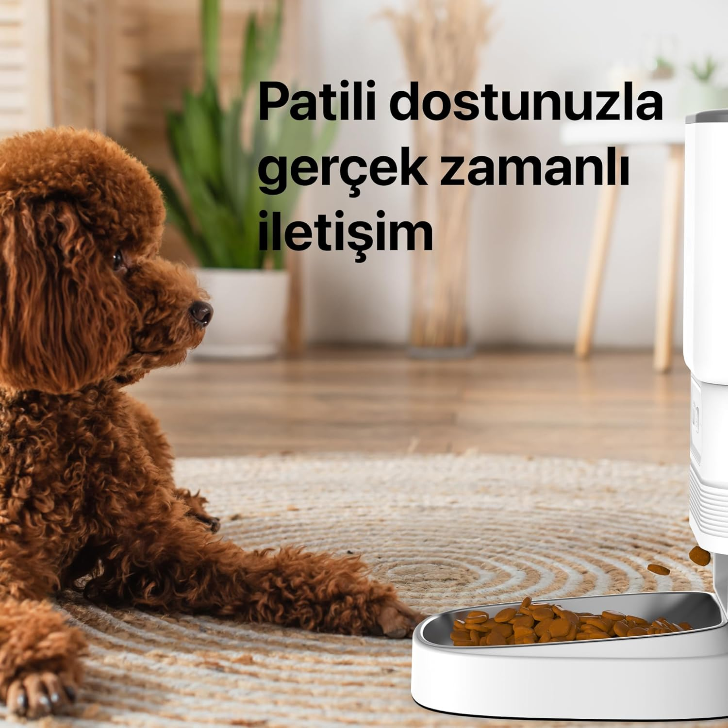 Xenon Smart X8612 Akıllı Mama Kabı Beyaz