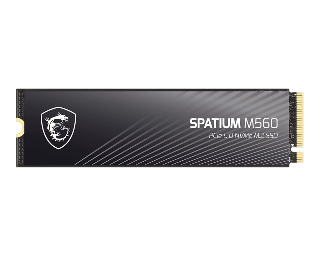 MSI Spatium M560 1 TB 10300/8700MB/s PCIe Gen5.0 NVMe M.2 SSD Disk