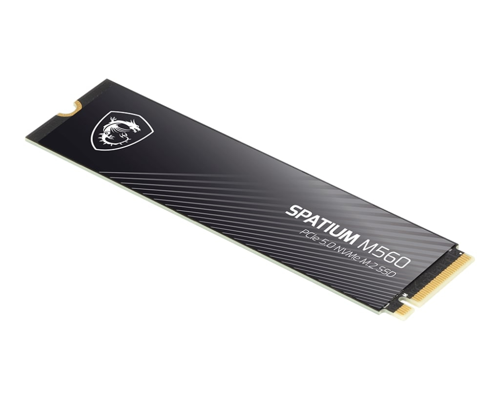 MSI Spatium M560 1 TB 10300/8700MB/s PCIe Gen5.0 NVMe M.2 SSD Disk