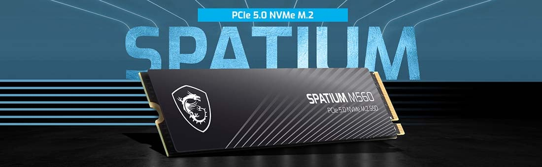 MSI Spatium M560 1 TB 10300/8700MB/s PCIe Gen5.0 NVMe M.2 SSD Disk