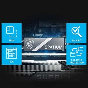 MSI Spatium M580 FROZR Soğutuculu PCI-Express 5.0 4 TB M.2 SSD