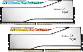 GSKILL Trident Z Royal Silver RGB 48GB (2x24GB) 8200MHz CL40 DDR5 Gaming Ram (F5-8200J4052F24GX2-TR5S)