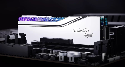 GSKILL Trident Z Royal Silver RGB 48GB (2x24GB) 8200MHz CL40 DDR5 Gaming Ram (F5-8200J4052F24GX2-TR5S)