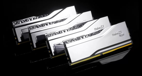 GSKILL Trident Z Royal Silver RGB 48GB (2x24GB) 8200MHz CL40 DDR5 Gaming Ram (F5-8200J4052F24GX2-TR5S)