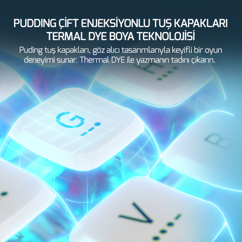 GamePower Gasket Pro X RGB Wireless/Bluetooth/Kablolu Mekanik Hot-Swap Yağlı Switch Gasket İngilizce Q Gaming Klavye