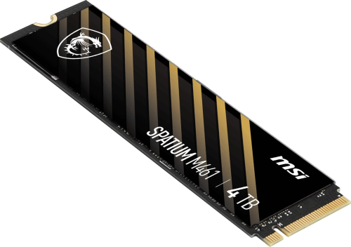 MSI Spatium M461 4TB 5000/4200MB/s PCIe Gen 4.0 NVMe M.2 SSD Disk