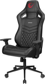 Rampage KL-R64 Oniks Siyah Oyuncu Koltuğu 36115