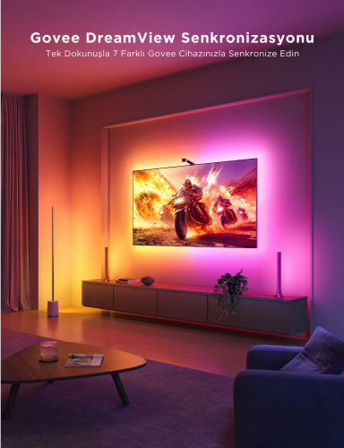 Govee Envisual T3 Lite TV Arkası Led Şerit Renk Senkronizasyonlu Ambiyans Aydınlatma 40-50 inç TV`ler ile Uyumlu -H60973D1