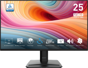 MSI PRO MP252 E2 24.5″ 120Hz 1Ms Full HD IPS Monitör