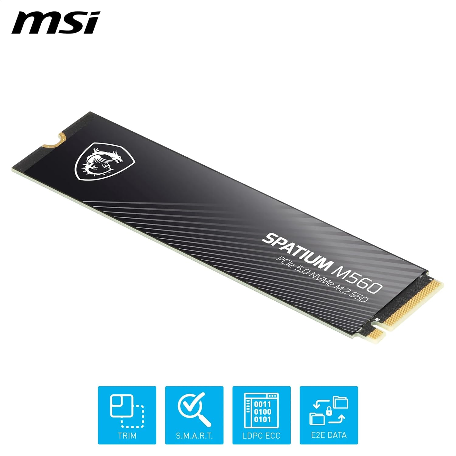 MSI Spatium M560 1 TB 10300/8700MB/s PCIe Gen5.0 NVMe M.2 SSD Disk