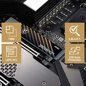 MSI Spatium M371 1TB 2350/1700MB/s PCIe Gen3x4 NVMe M.2 SSD Disk