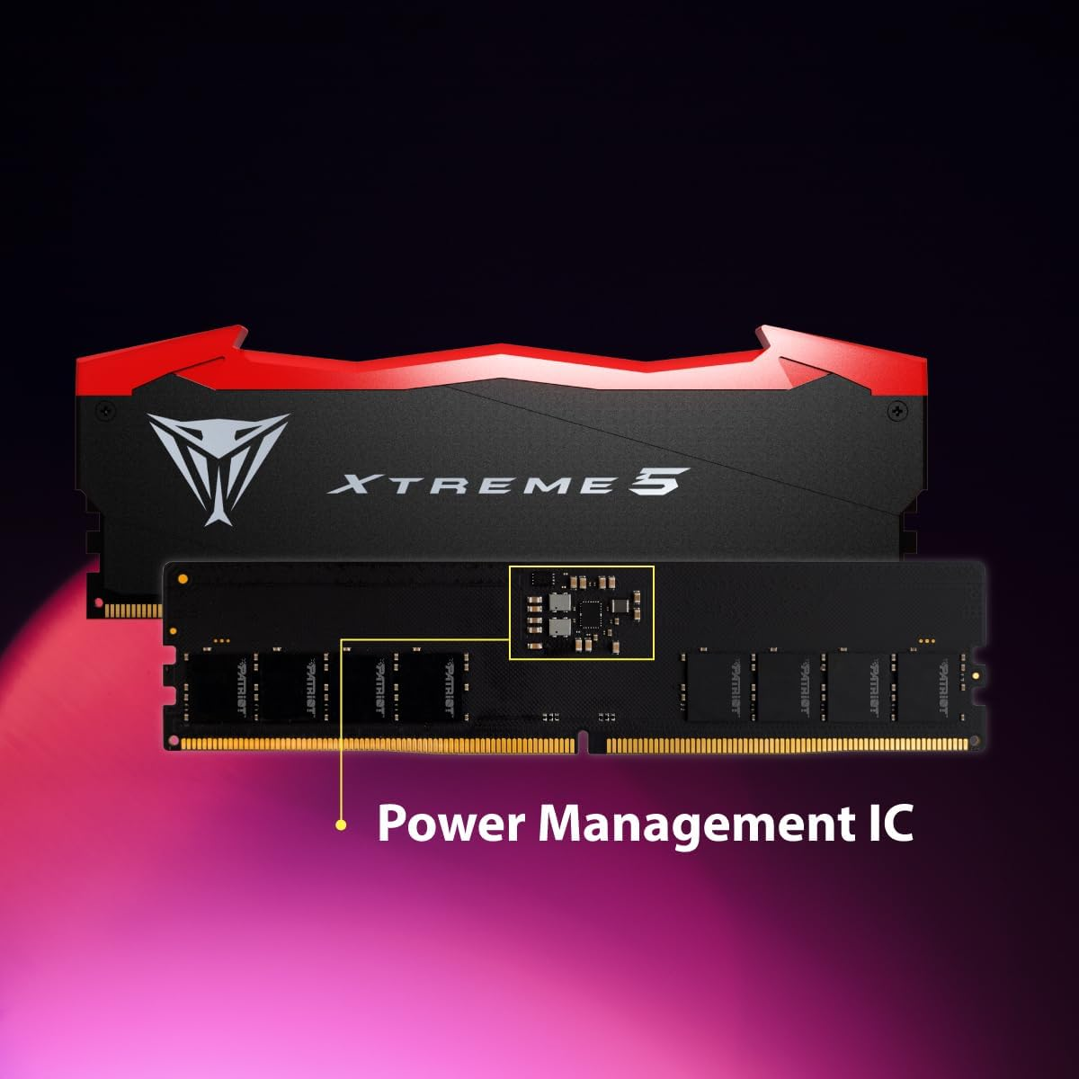 Patriot Viper Xtreme 5 48GB (2x24GB) DDR5 7600MHz CL36 Gaming Ram