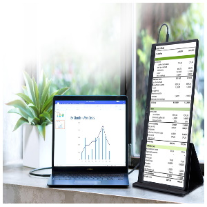 ASUS ZenScreen MB166C Monitör