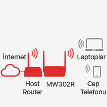 TP-Link Mercusys MW302R 300Mbps Kablosuz N Router