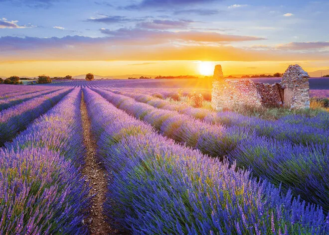 ASUS ZenScreen MB16ACE 15.6″ 5ms 60Hz IPS Full HD Taşınabilir Monitör