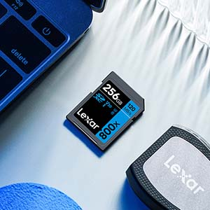 Lexar 256GB LSD0800P256G-BNNNG SD Professional 800X SDXC UHS-I 150/45MB/s SD Hafıza Kartı