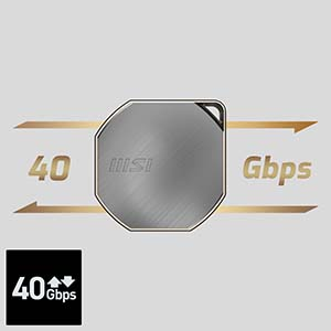 MSI DATAMAG 40GBPS USB4 GEN3x2 1TB Harici SSD