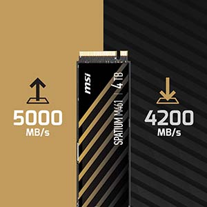 MSI Spatium M461 4TB 5000/4200MB/s PCIe Gen 4.0 NVMe M.2 SSD Disk