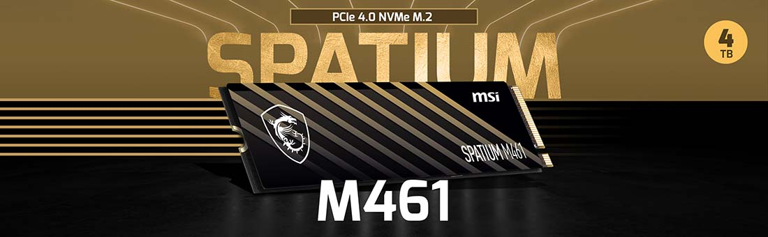 MSI Spatium M461 4TB 5000/4200MB/s PCIe Gen 4.0 NVMe M.2 SSD Disk