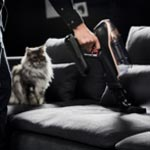 Tefal X-Force Flex 15.60 Animal TY99F1 Şarjlı Dikey Süpürge