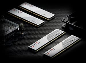 GSKILL Ripjaws S5 Siyah 16GB (1x16GB) 6000MHz CL36 DDR5 Gaming Ram