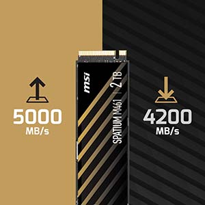 MSI Spatium M461 2TB PCIe 4.0 NVMe M.2 SSD Disk