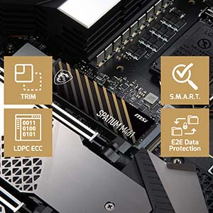 MSI Spatium M461 2TB PCIe 4.0 NVMe M.2 SSD Disk