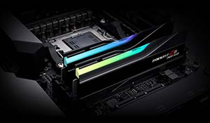 GSKILL Trident Z5 NEO 96GB (2x48GB) 6000MHz CL28 DDR5 Gaming Ram