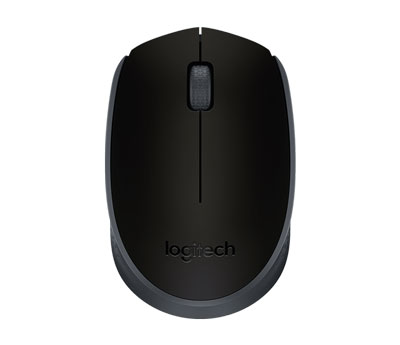Logitech M171 910-004424 Siyah Mouse