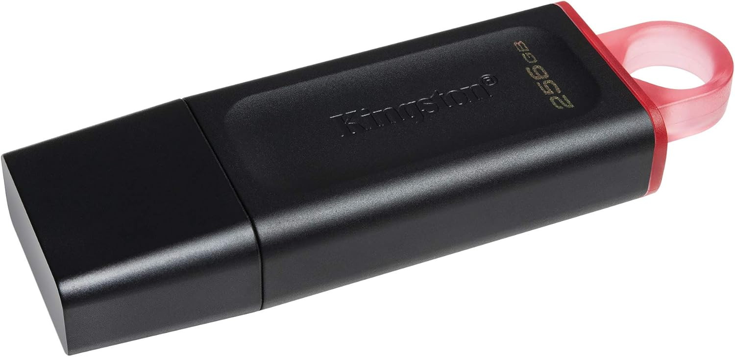 Kingston Data Traveler Exodia DTX/256GB Flash Bellek