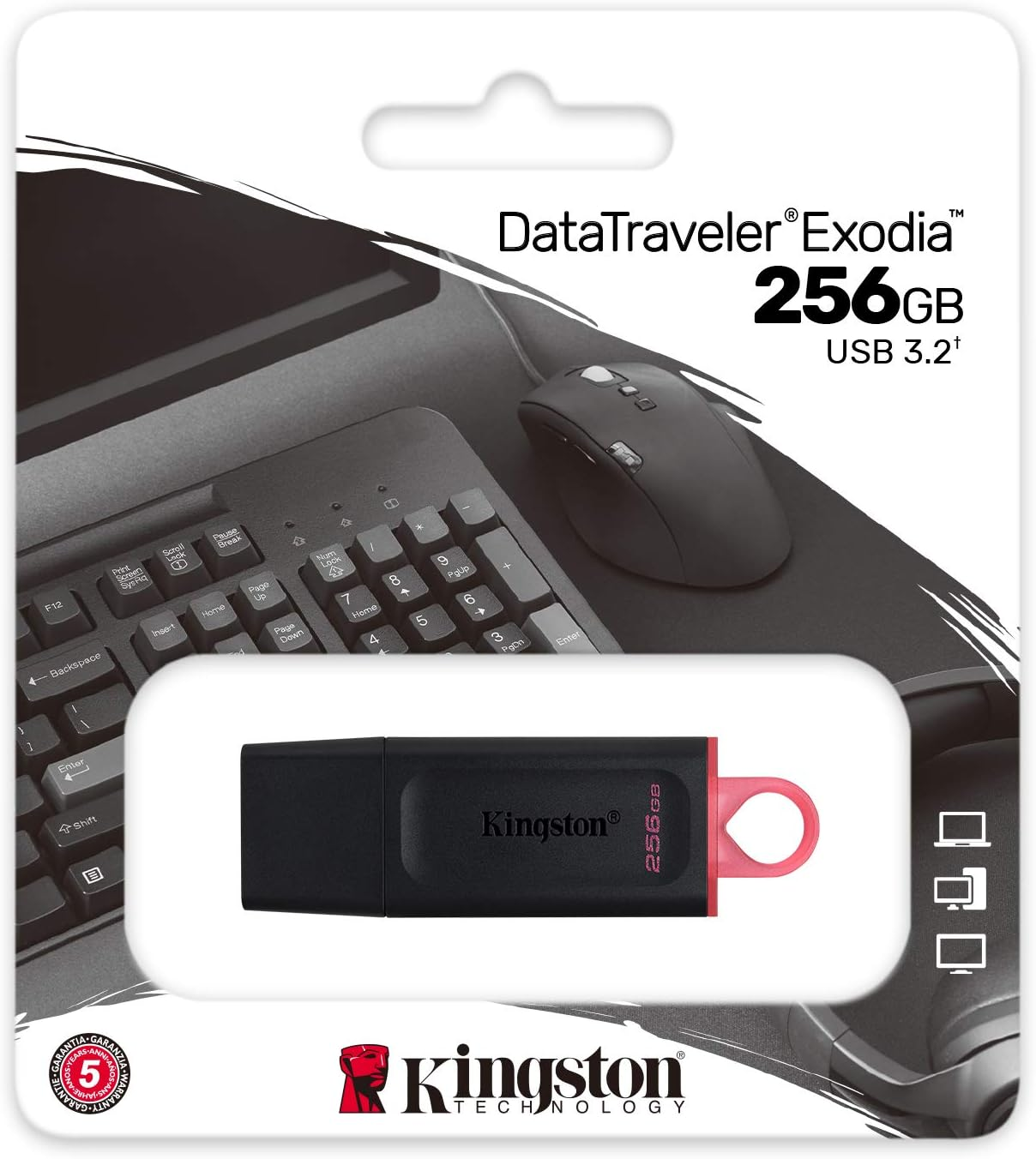 Kingston Data Traveler Exodia DTX/256GB Flash Bellek