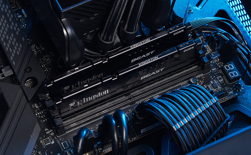 Kingston Beast KF556C36BBEK2-32TR 32GB (2x16) DDR5 5600Mhz CL36 Siyah Gaming RAM