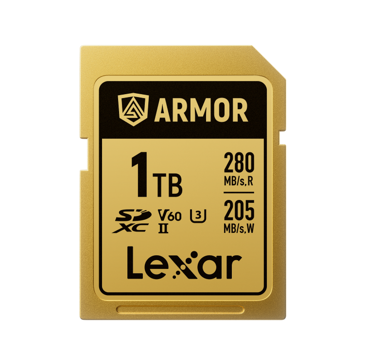 LEXAR 1TB LSDAMGL001T-RNNNG 280MB/s SD Hafıza Kartı