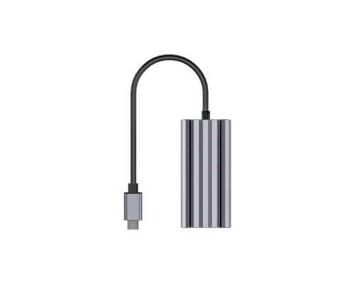 Unitek USB Type-C - 5Gbps Ethernet Adaptörü (U1343AGY01)