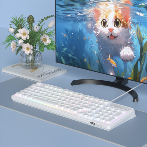 MageGee GK980 98 Tuş RGB Kablolu Membran Gaming Beyaz Klavye