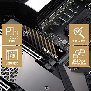 MSI Spatium M461 1TB 5000/3200MB/s PCIe Gen 4.0 NVMe M.2 SSD Disk