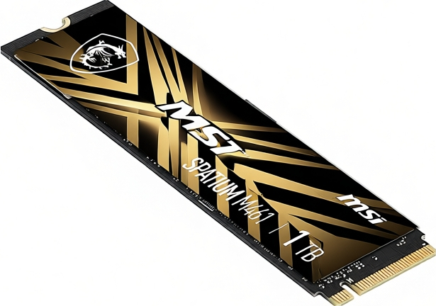 MSI Spatium M461 1TB 5000/3200MB/s PCIe Gen 4.0 NVMe M.2 SSD Disk