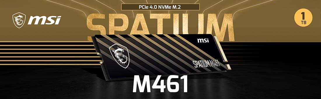 MSI Spatium M461 1TB 5000/3200MB/s PCIe Gen 4.0 NVMe M.2 SSD Disk
