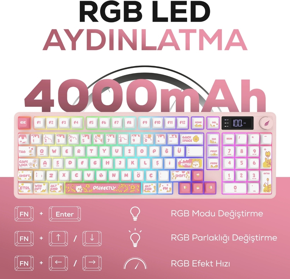 Hawk Gaming HK258WP Membrane LCD RGB Kablosuz/Bluetooth Beyaz Pembe Full Türkçe Gaming Klavye