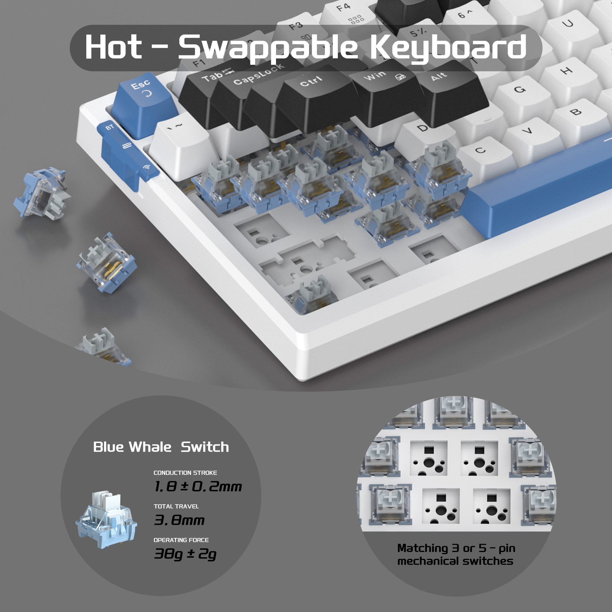 MageGee SKY98 99 Tuş Kablosuz RGB Hot-Swap Gasket Siyah-Beyaz Gaming Klavye 