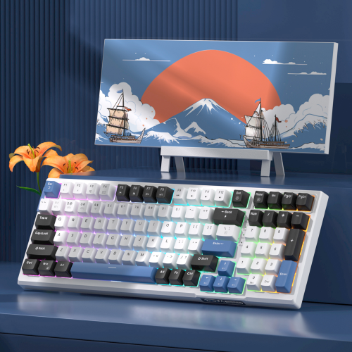 MageGee SKY98 99 Tuş Kablosuz RGB Hot-Swap Gasket Siyah-Beyaz Gaming Klavye 