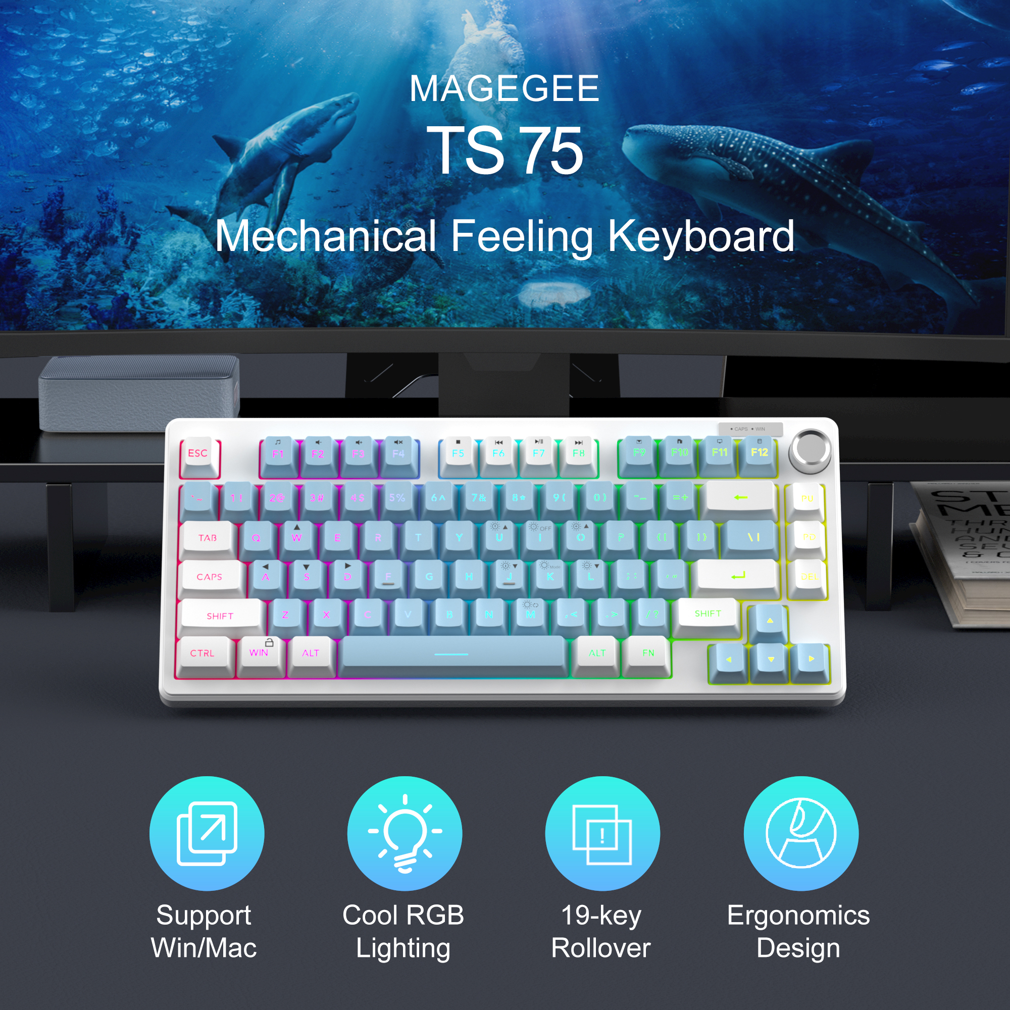 MageGee TS75 %75 Beyaz 79 Tuş RGB Kablolu Membran Gaming Klavye