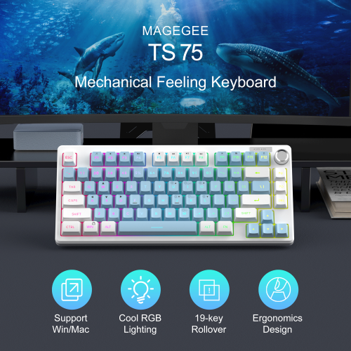 MageGee TS75 %75 Beyaz 79 Tuş RGB Kablolu Membran Gaming Klavye