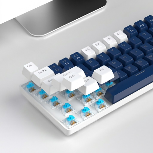 MageGee MK-BOX 68 Tuş Kablolu Mekanik Blue Switch Türkçe Q Mavi-Beyaz Gaming Klavye