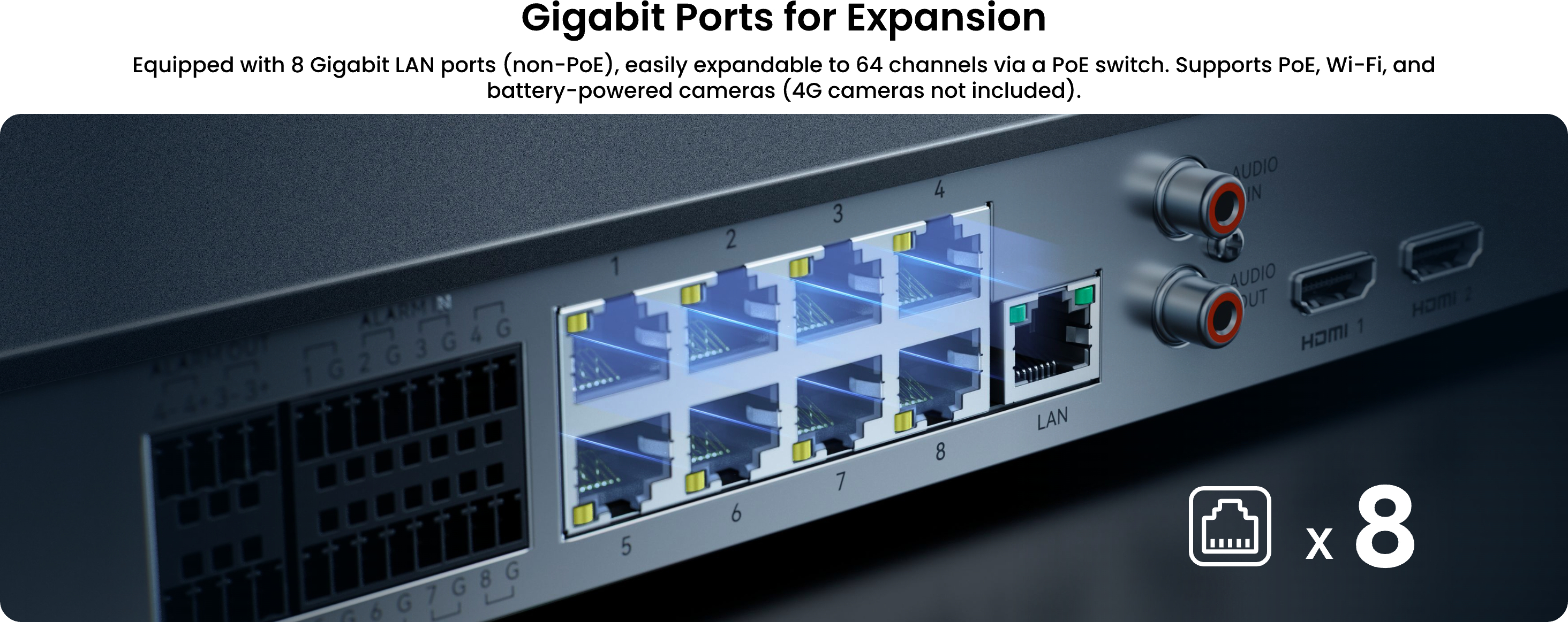 Reolink RP-N64 64 Kanal Network Kayıt Cihazı